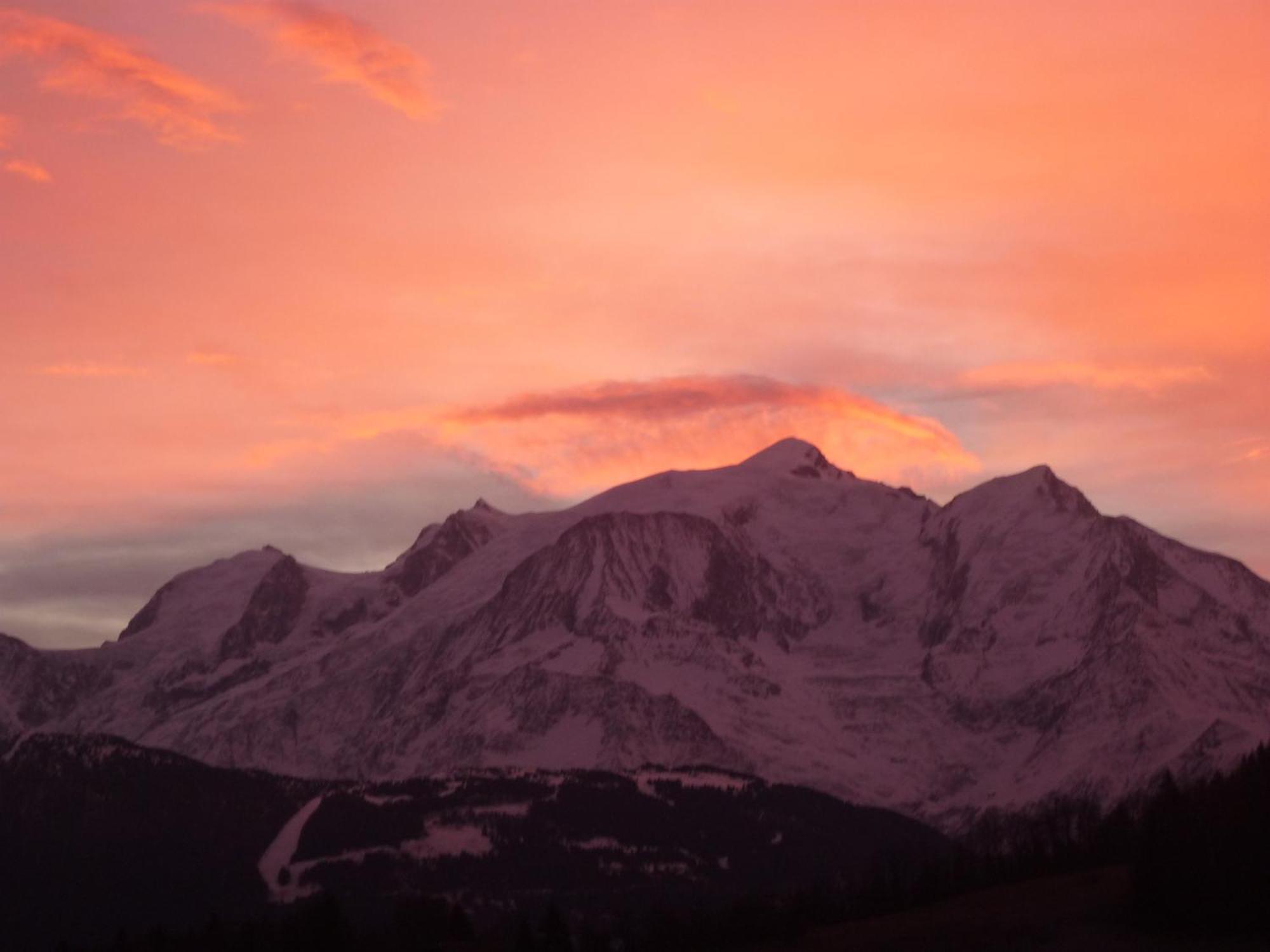 Le Chamois D'or